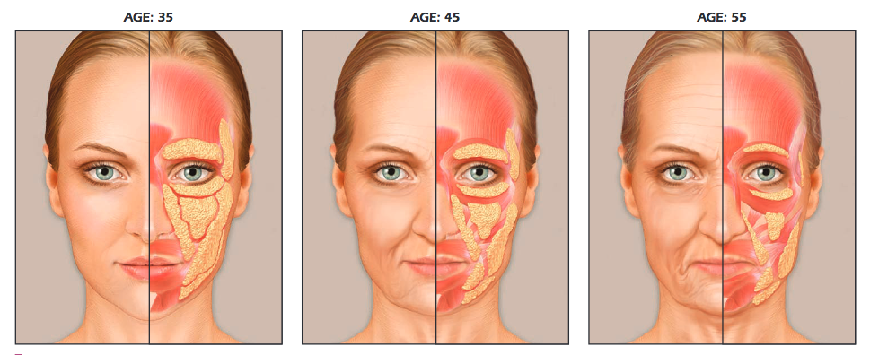 zsírszövet változása az arcon
